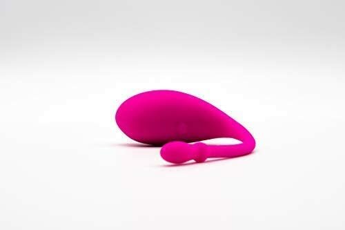 Lovense Vibrator